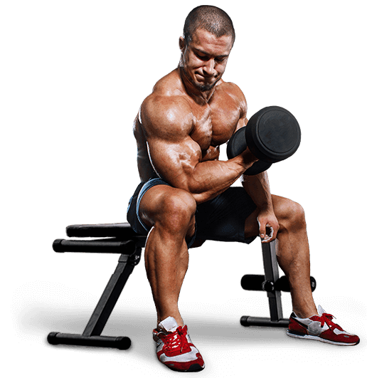 bodybuilder